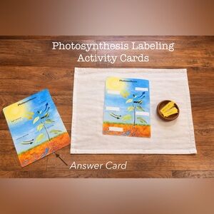 Educational Photosynthesis Labeling Activity Cards with Answer Key